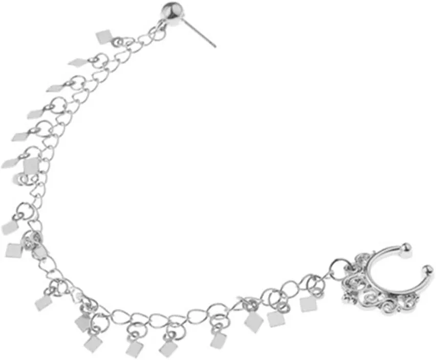 2pcs Silver Nose Earrings Tassel Chain Dangle Nose Ring for Women Punk Style Ear Clip Jewelry