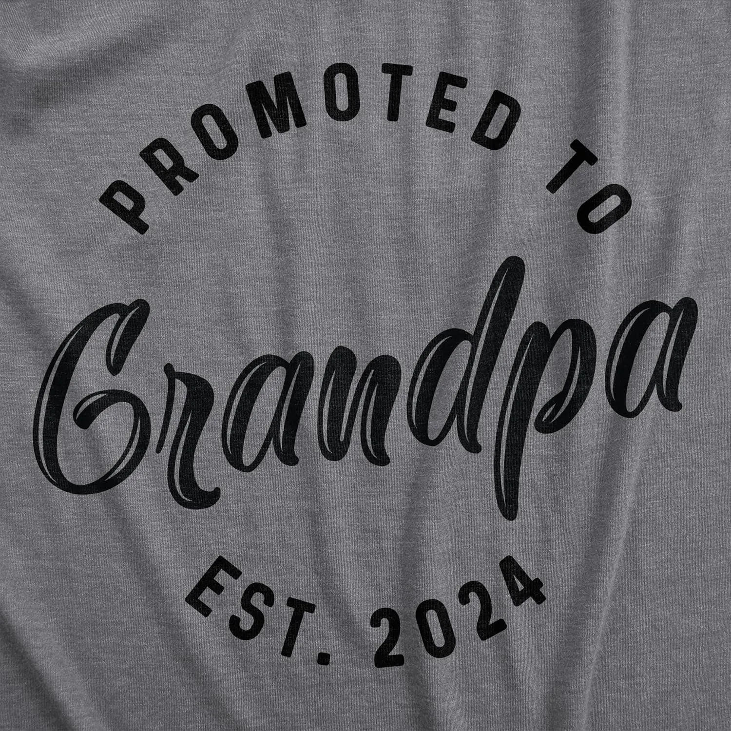 Crazy Dog Mens Shirts Promoted to Papa Grandpa or Uncle 2025 2024 or 2023 Funny Fathers Day Tees