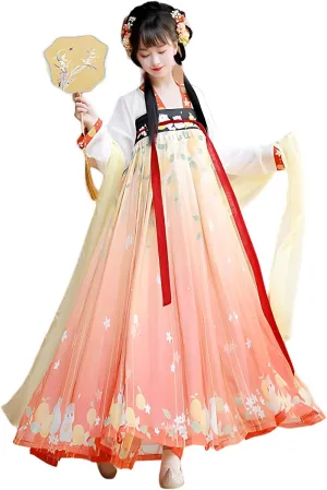 Hanfu Dress for Women - Traditional Chinese Embroidered Maxi Skirt