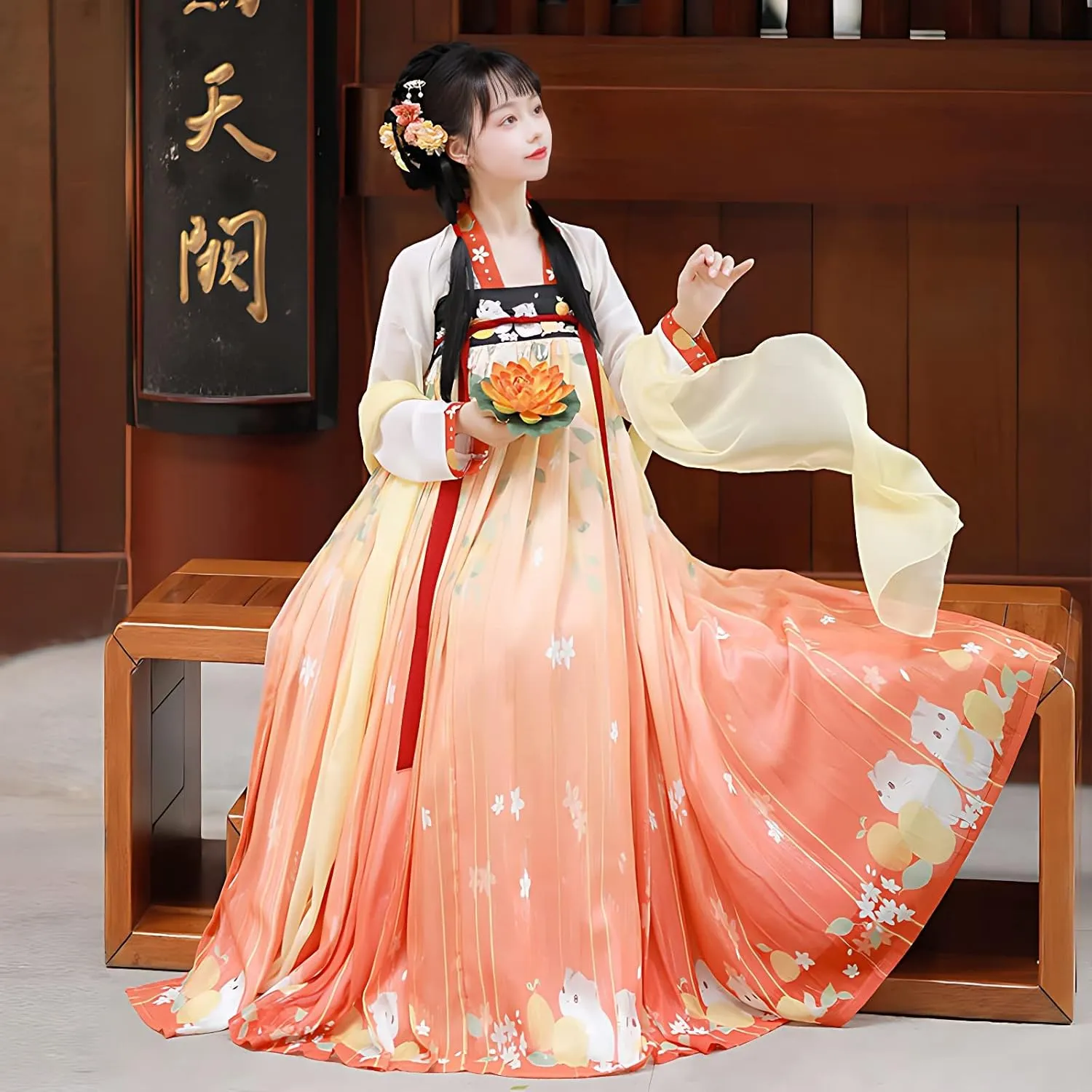 Hanfu Dress for Women - Traditional Chinese Embroidered Maxi Skirt
